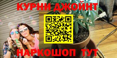 apvp Славгород